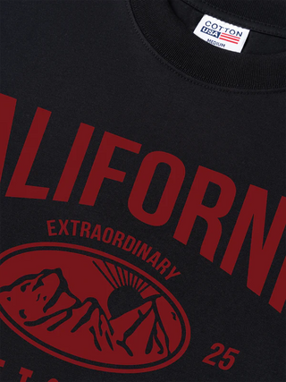 Áo Thun Relaxed Fit USA California Extraordinary