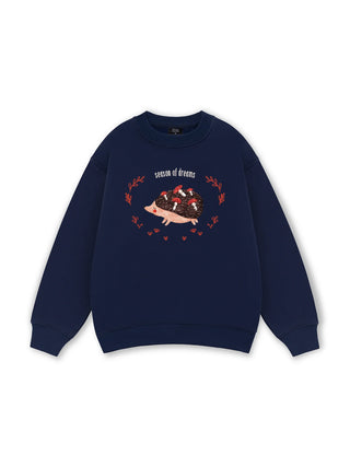 Autumn Season of Dreams Sweater