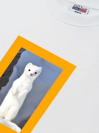 Áo Thun Relaxed Fit Wild Life When A Species Disappears